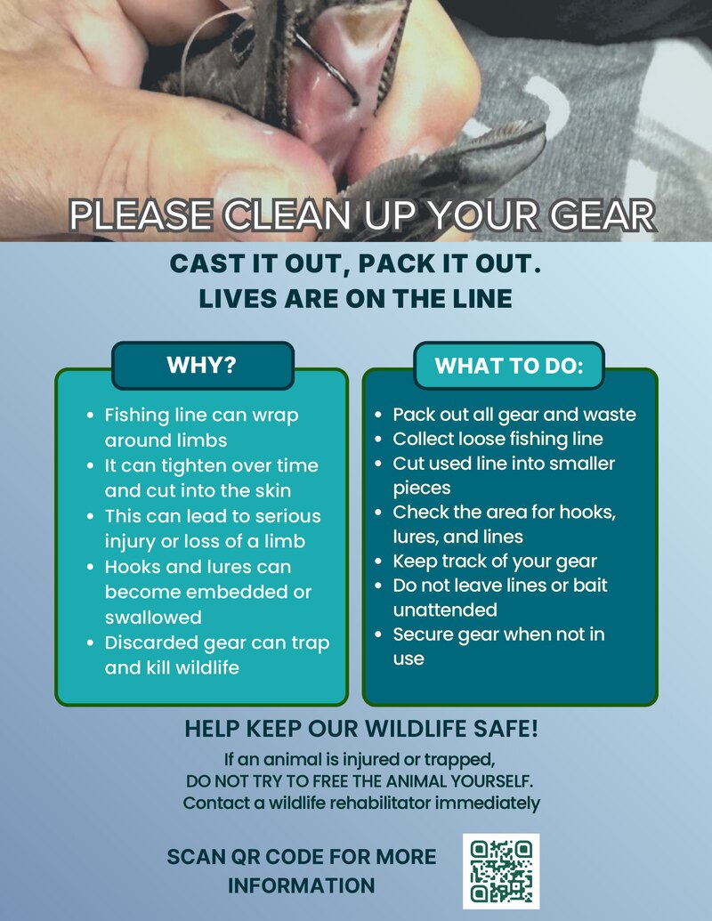 Cast It Out, Pack It Out one-page flyer: why discarded fishing line and gear injure and trap wildlife, and what to do instead.