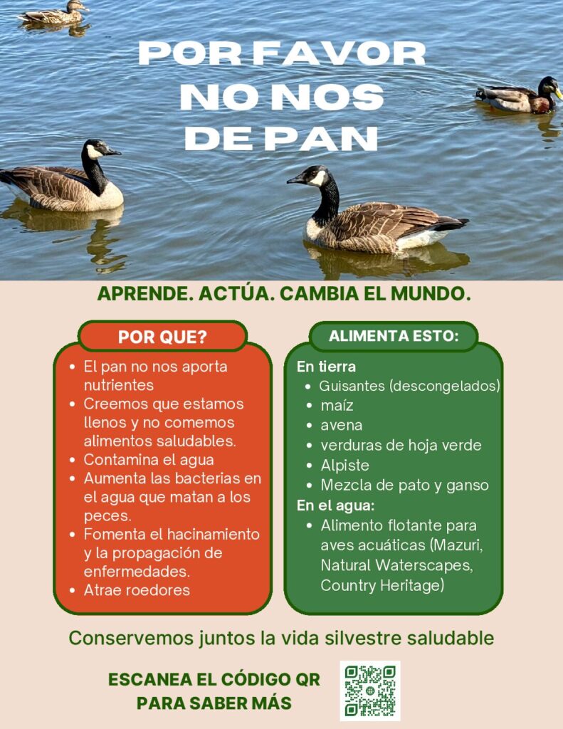 Por Favor No Nos De Pan: volante de una pagina con listas y codigo QR.