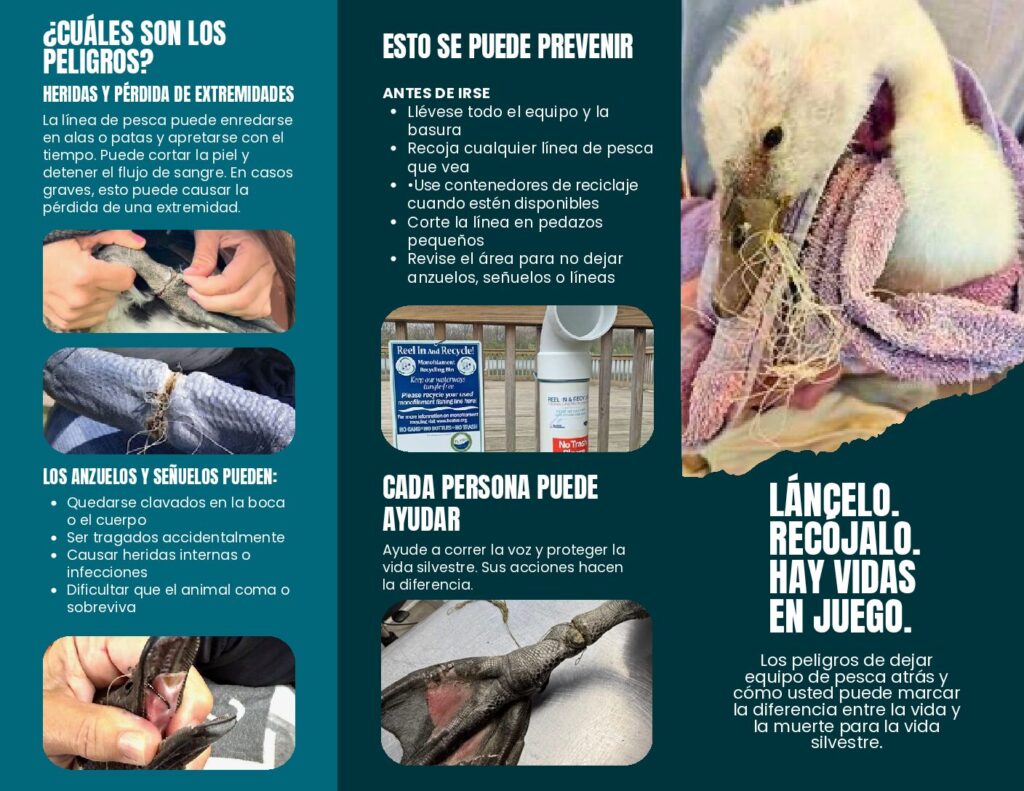 Lancelo. Recojalo. Folleto en espanol sobre pesca responsable y los peligros del sedal desechado.