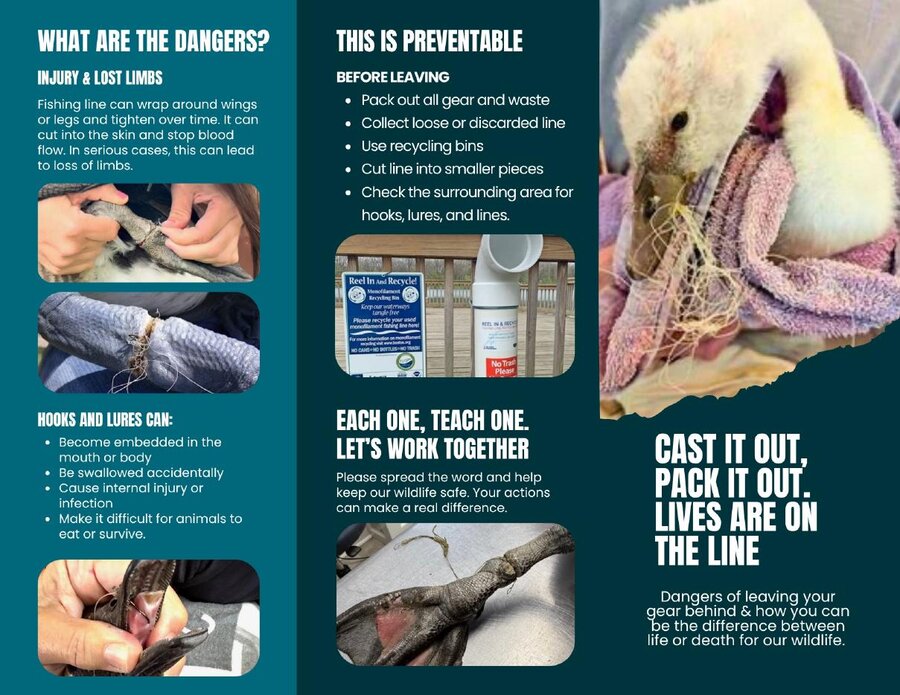 Cast It Out, Pack It Out tri-fold about the dangers of discarded fishing line to wildlife.
